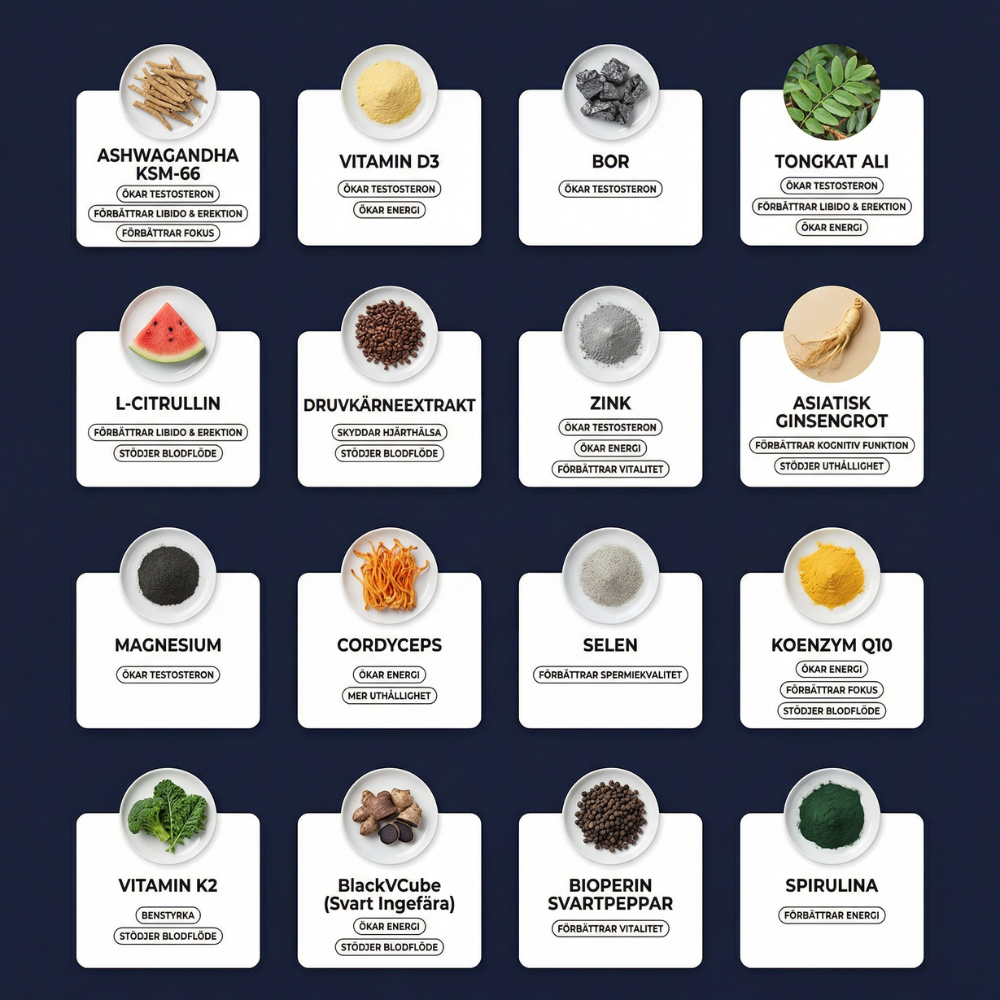 MAXERON Testosteronprogram