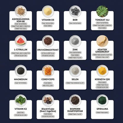 MAXERON Testosteronprogram